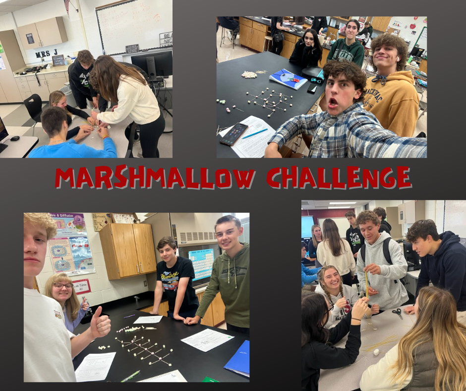 Marshmallow Challenge 