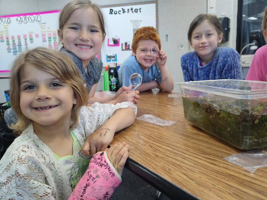 First graders with snails