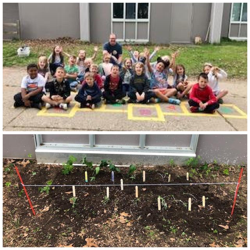 Bottom photo is seedling planted in ground, top photo is class posing  with their dog dad helper.