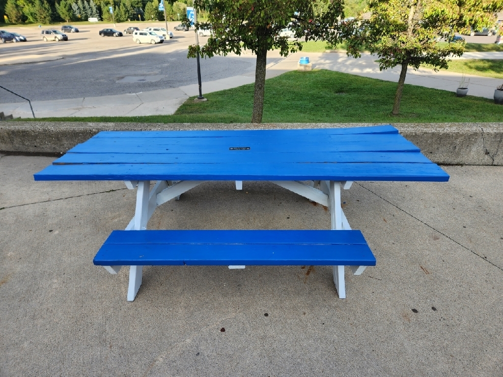 Square blue handicapped picnic table