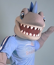 Sharky Staff Picture