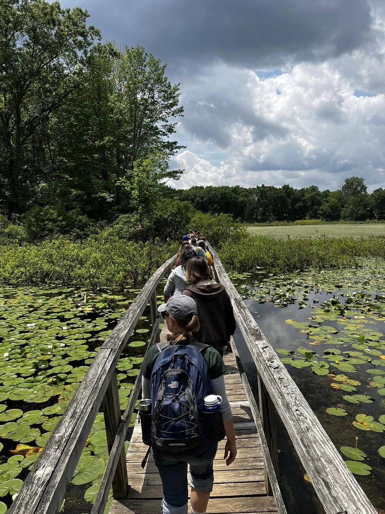 students walk across bridge in pond